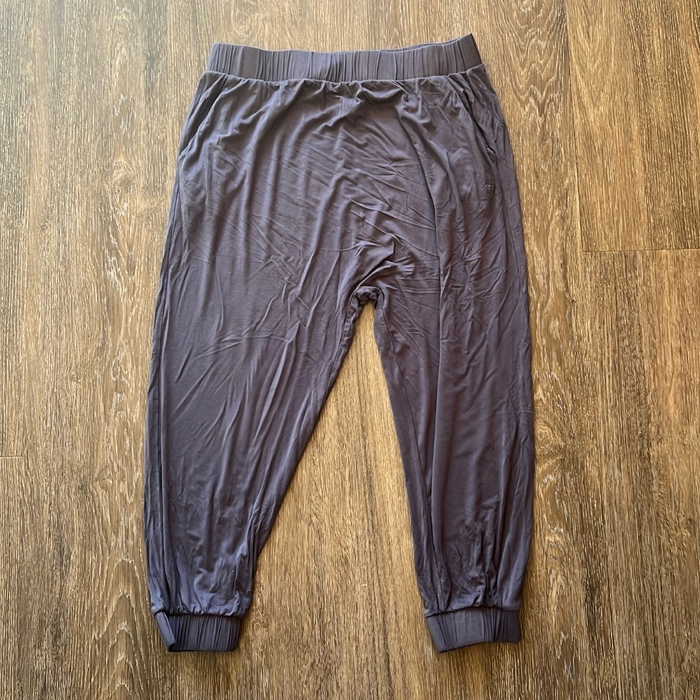 Albion Women’s Joggers. Size Large. Very Comfortable and in excellent condition.